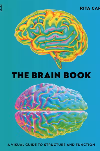 The Brain Book