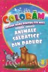 Coloram desene mari pentru cei mici: Animale salbatice din padure