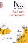 Raul care ne desparte