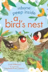 Peep inside a Bird's Nest