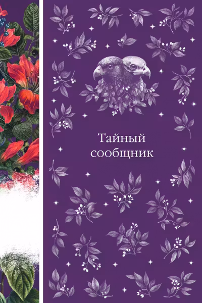 Тайный сообщник