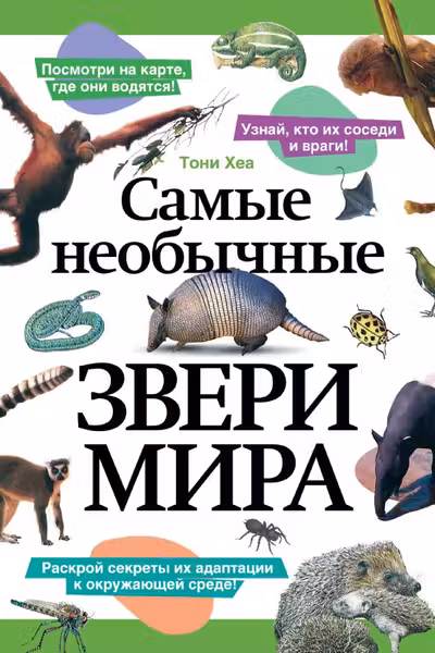 Самые необычные звери мира