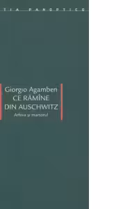 Ce ramine din Auschwitz