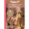 O calatorie spre centrul Pamantului.