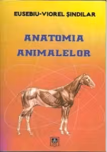 Anatomia animalelor