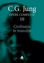 Civilizatia in tranzitie