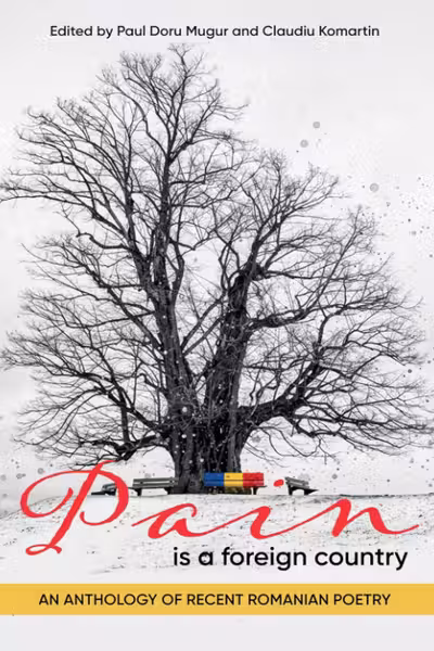 Pain Is a Foreign Country