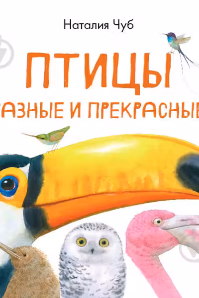 В гостях у природы: Птицы разные и прекрасные