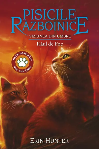 Viziunea din umbre. Raul de Foc