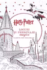 Harry Potter. Locuri si personaje magice. Carte de colorat