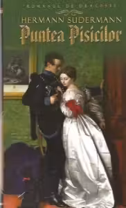 Romanul de dragoste. Puntea pisicelor
