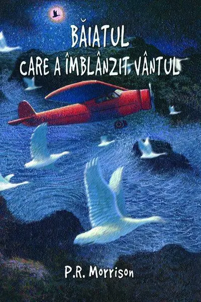 Băiatul care a îmblânzit vântul l