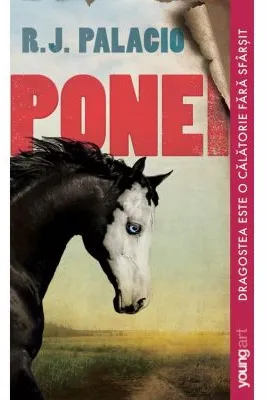 Ponei