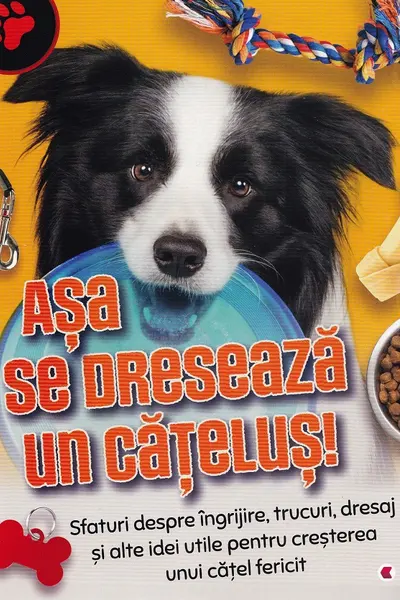 Asa se dreseaza un catelus