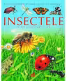 Insectele pe intelesul copiilor
