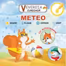 Veverita curioasa - Meteo