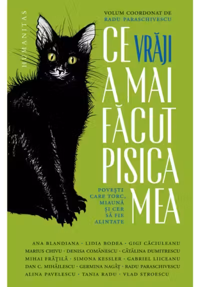 Ce vraji a mai facut pisica mea