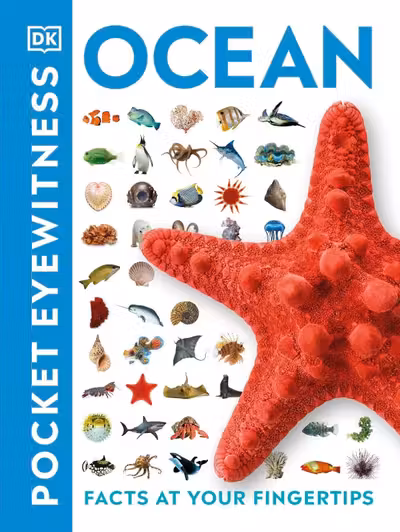 Ocean