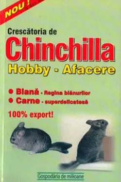 Crescatoria de chinchilla