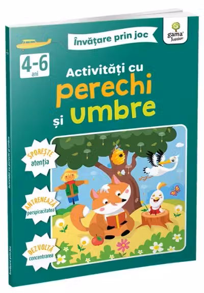 Activitati cu perechi si umbre