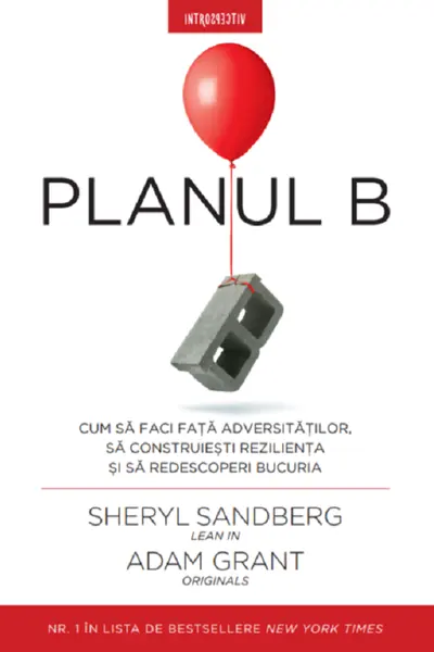 Introspectiv. PLANUL B.