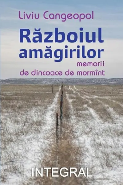 Războiul amăgirilor