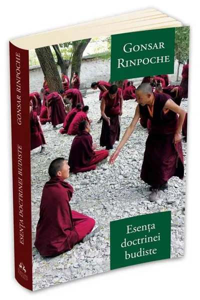 Esenta doctrinei budiste