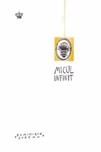 Micul infinit