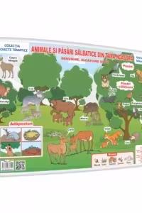 Animale si pasari salbatice din tara noastra - plansa A3 - Proiecte Tematice