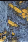 Leon Vreme - Itinerarii artistice : de la natura la structuri cromatice abstracte