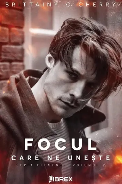 Focul care ne uneste. Seria Elemente Vol.2