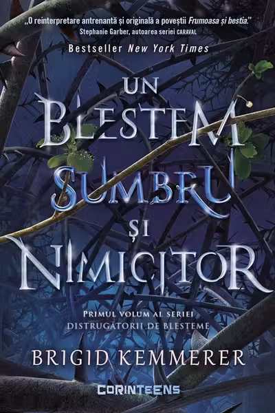 Un blestem sumbru si nimicitor (vol.1 din seria Distrugatorii de blesteme