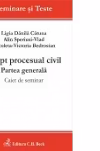 Drept procesual civil. Partea generala. Caiet de seminar