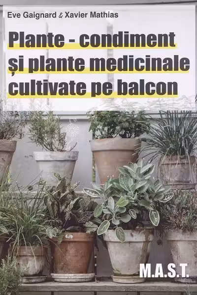 Plante-condiment si plante medicinale cultivate pe balcon