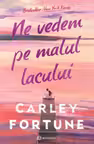 Ne vedem pe malul lacului