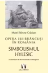 Opera lui Brancusi in Romania