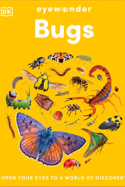 Eyewonder Bugs