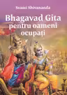 Bhagavad Gita pentru oameni ocupati