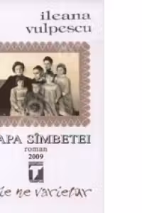 Pe apa simbetei