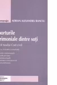 Raporturile patrimoniale dintre soti potrivit noului Cod civil
