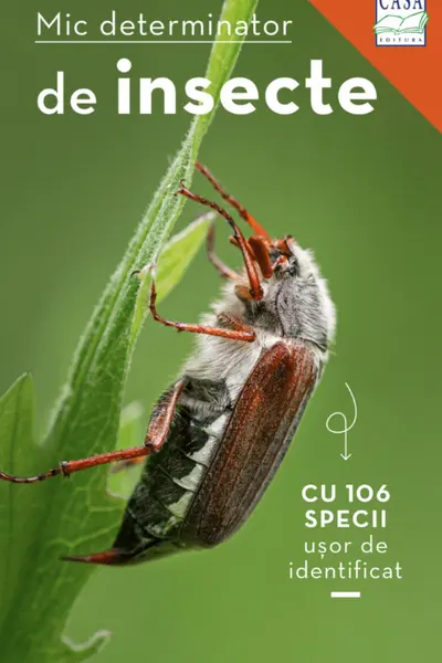 Mic determinator de insecte