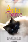 Arta de a toarce
