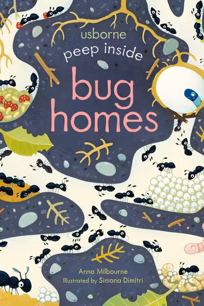 Peep Inside Bug Homes