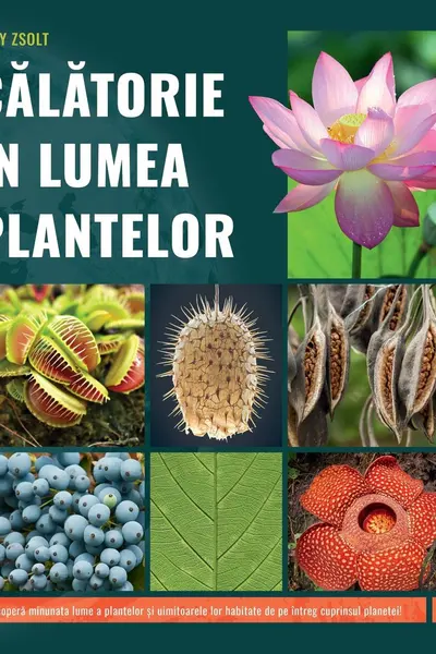 Calatorie in lumea plantelor