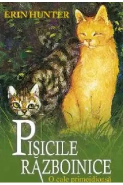 O cale primejdioasa