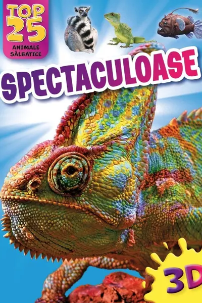 Top 25 Animale salbatice – Spectaculoase 3D