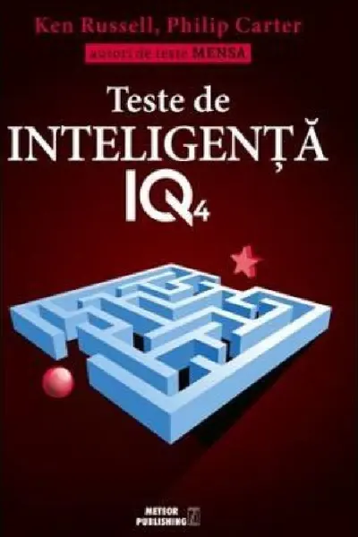 Teste de inteligenta IQ 4
