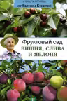 Фруктовый сад. Вишня, слива и яблоня