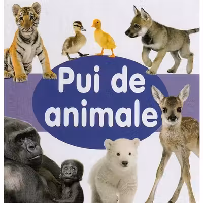 Pui de animale - CARTONATA