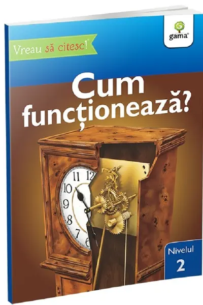 Cum functioneaza?